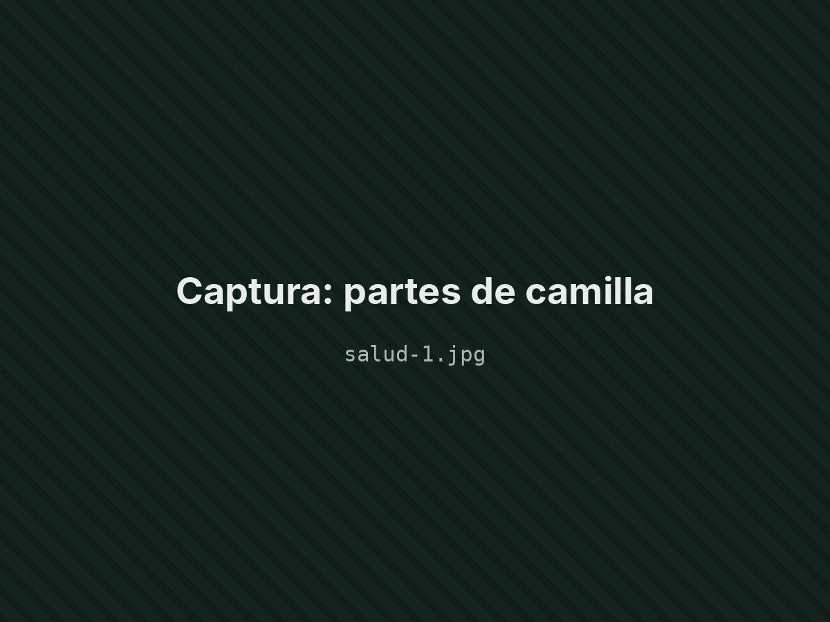 Partes de camilla