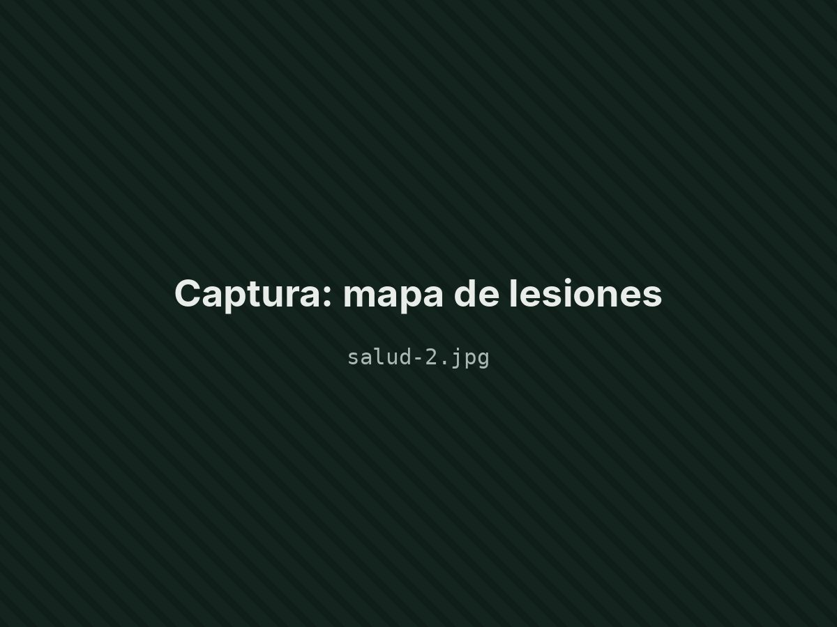 Mapa de lesiones