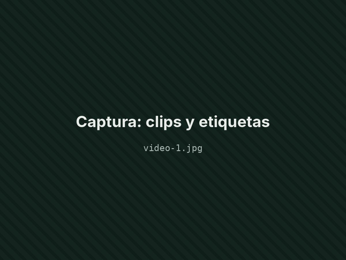 Clips y etiquetas